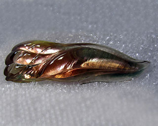 Free Form Oregon Sunstone